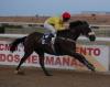 SEMINOLE CRY venciendo en Mijas (Foto: Dubai Millenium)